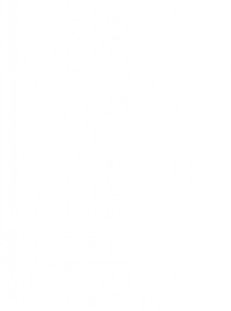 Chase International Real Estate Logo